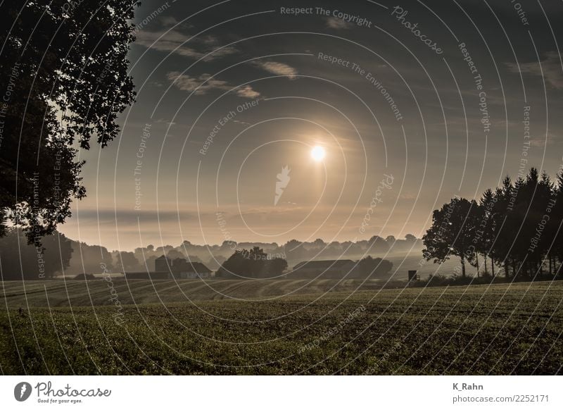 Ein Morgen in Schleswig-Holstein. ruhig Sommerurlaub Haus Garten Landwirtschaft Forstwirtschaft Natur Landschaft Himmel Sonne Sonnenaufgang Sonnenuntergang