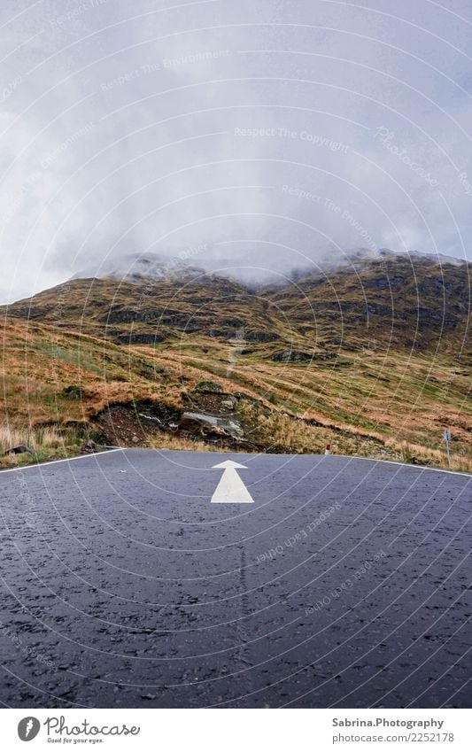 Hier geht's entlang!- Teil 2 Umwelt Natur Landschaft Wolken Nebel Wiese Berge u. Gebirge Gipfel Straße Straßenkreuzung Wege & Pfade Wegkreuzung beobachten