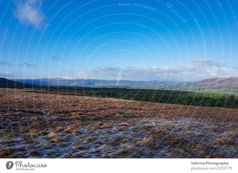 Weites Land. Umwelt Natur Landschaft Pflanze Tier Sonne Herbst Winter Schönes Wetter Schnee Gras Sträucher Wiese Hügel Berge u. Gebirge Gipfel