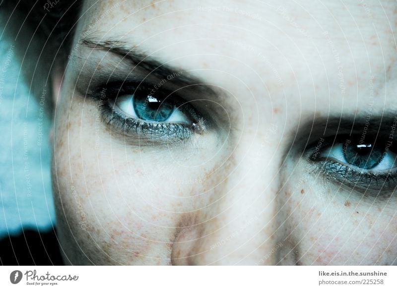 Deine blauen Augen machen mich so sentimental schön Gesicht Schminke Wimperntusche Lidschatten Flirten feminin Junge Frau Jugendliche Erwachsene Haut Kopf 1