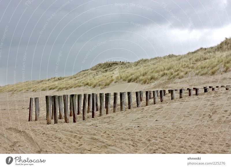 Winterstrand Landschaft Wolken schlechtes Wetter Regen Pflanze Dünengras Küste Strand Nordsee Stranddüne Buhne Sand Holz Erholung ruhig Gedeckte Farben