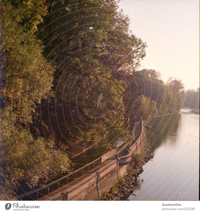 täglicher Blick Umwelt Natur Landschaft Wasser Fluss authentisch gigantisch groß Unendlichkeit gut hell schön Stimmung Farbfoto Außenaufnahme Menschenleer Tag