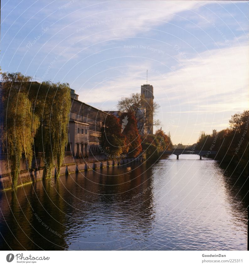 täglicher Blick II Umwelt Natur Urelemente Wasser Wetter Schönes Wetter Fluss Brücke frei hell schön Farbfoto Außenaufnahme Menschenleer Tag Licht Sonnenlicht