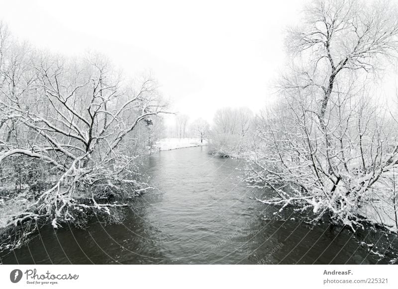 Grau in Grau Umwelt Natur Landschaft Wasser Winter Wetter schlechtes Wetter Nebel Eis Frost Schnee Baum Sträucher Fluss Spree kalt grau Außenaufnahme