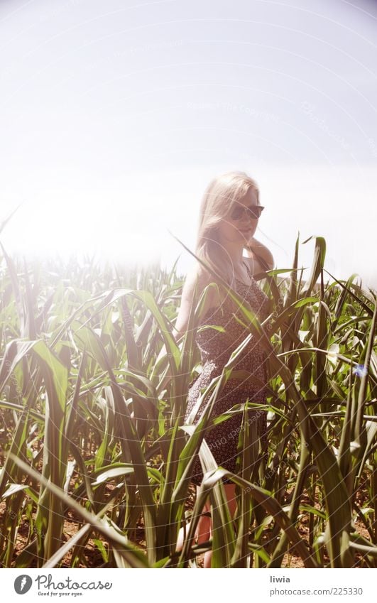 SUMMER Mensch feminin Junge Frau Jugendliche Freundschaft Leben 1 Natur Landschaft Himmel Wolkenloser Himmel Sonnenlicht Sommer Grünpflanze Feld blond