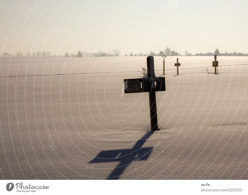 +++ Umwelt Natur Landschaft Sonnenlicht Winter Schönes Wetter Schnee Feld hell kalt Gedeckte Farben Außenaufnahme Menschenleer Abend Licht Schatten Kontrast