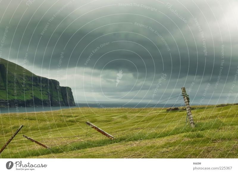 nicht meer weit Insel Berge u. Gebirge Umwelt Natur Landschaft Himmel Wolken Gewitterwolken Klima Wetter schlechtes Wetter Gras Wiese Küste Bucht Fjord Meer