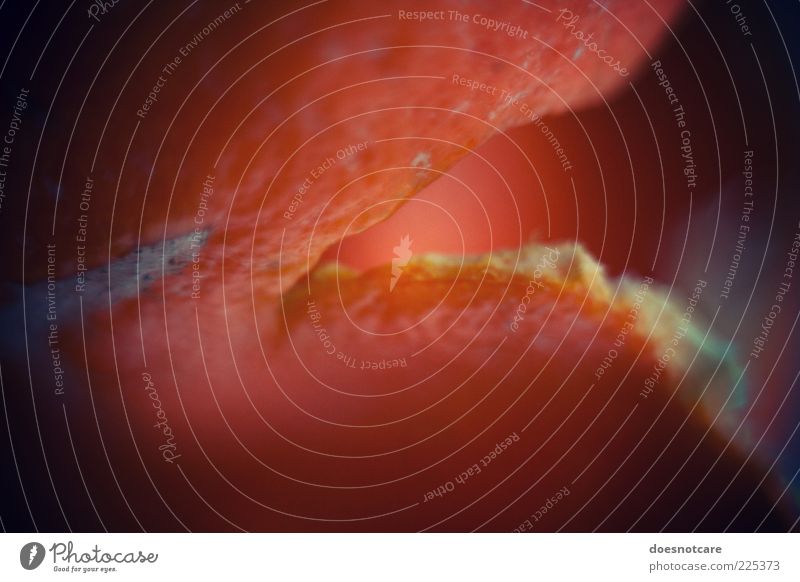 i don't get the general idea, but i suppose we could. Lebensmittel Orange Vignettierung Orangenschale Hülle Frucht Farbfoto Detailaufnahme Makroaufnahme