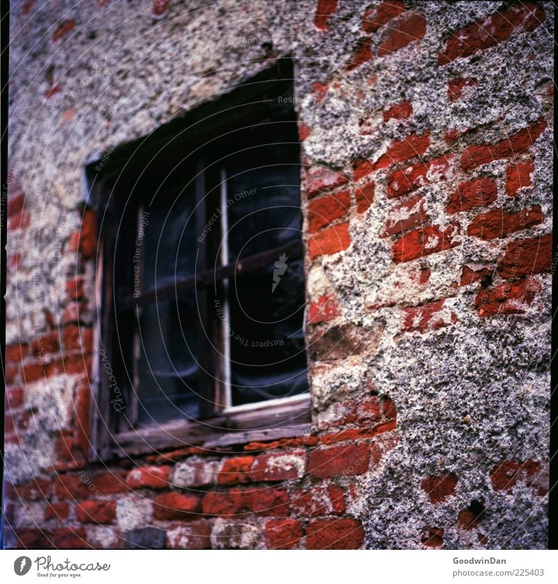 verlassen. Haus Gebäude Mauer Wand Fassade Fenster authentisch eckig kaputt Farbfoto Außenaufnahme Menschenleer Tag Licht Kontrast Schwache Tiefenschärfe alt