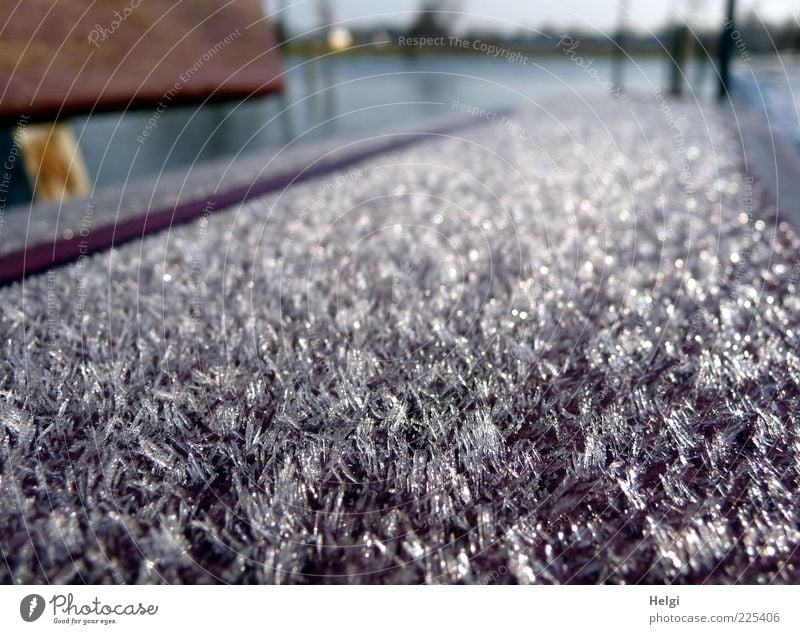 Winter"pelz"... Umwelt Schönes Wetter Eis Frost Bank Kunststoff glänzend ästhetisch außergewöhnlich fantastisch kalt natürlich blau braun grau weiß schön ruhig