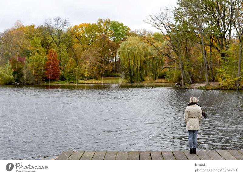 Tristesse Meditation Junge Frau Jugendliche Erwachsene 1 Mensch 18-30 Jahre Natur Herbst Park See Mantel träumen Traurigkeit warten Sorge Trauer Liebeskummer