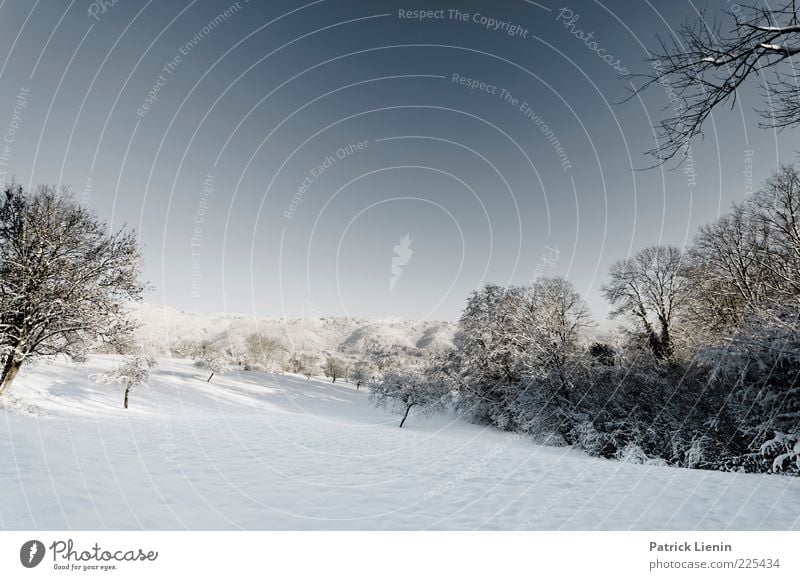 wintertime love Umwelt Natur Landschaft Pflanze Urelemente Luft Himmel Wolkenloser Himmel Winter kalt schön blau weiß Stimmung Zufriedenheit Landschaftsformen