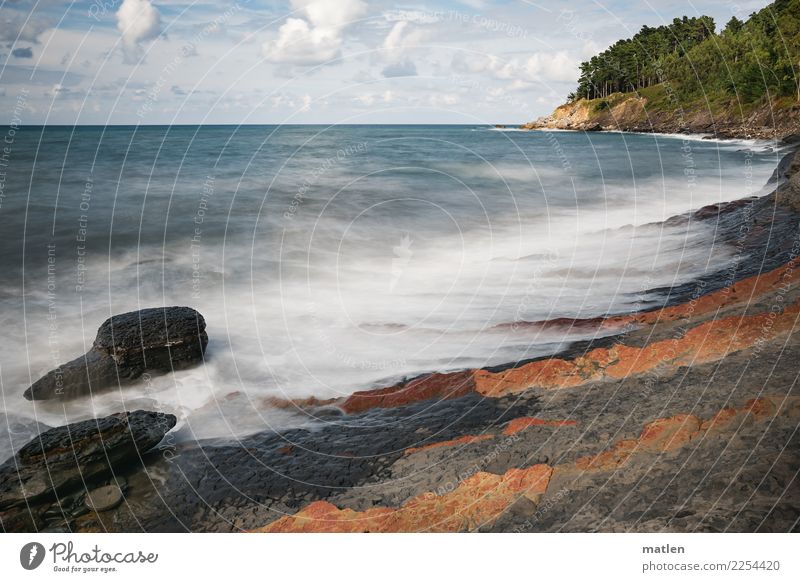 Flysch Natur Landschaft Pflanze Himmel Wolken Horizont Sommer Schönes Wetter Wind Baum Wald Hügel Felsen Wellen Küste Strand Bucht Meer blau braun mehrfarbig