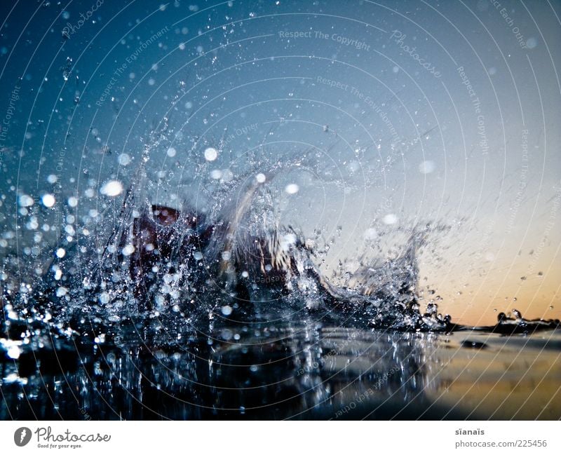 liquiditätsprüfung Sommer Urelemente Wasser Wassertropfen Wolkenloser Himmel Bewegung nass wild Wasseroberfläche Dynamik liquide Farbfoto mehrfarbig