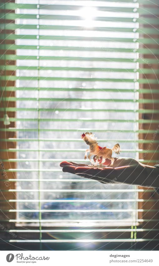 Handgrifffigur des Pferds zum Fenster Sonne Frau Erwachsene Tier Kunststoff Liebe weiß Fohlen Figur Miniatur Schärpe Exmoor Reiten Porträt