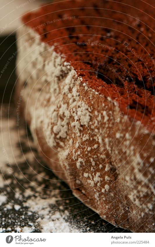 Deine Schokoladenseite Teigwaren Backwaren Kuchen Süßwaren Ernährung groß braun Appetit & Hunger Puderzucker Farbfoto Nahaufnahme Textfreiraum unten