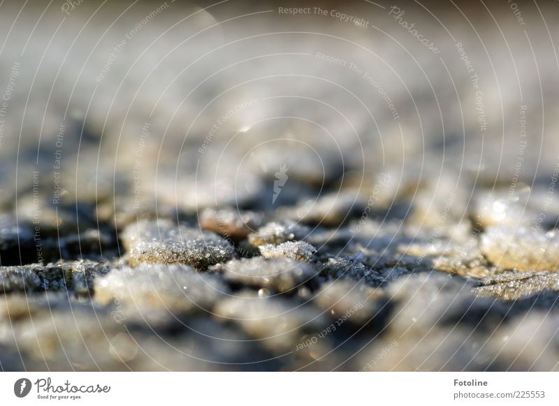 frostiges Pflaster Umwelt Winter Eis Frost kalt natürlich Stein Farbfoto Außenaufnahme Menschenleer Textfreiraum oben Morgen Tag Licht Lichterscheinung