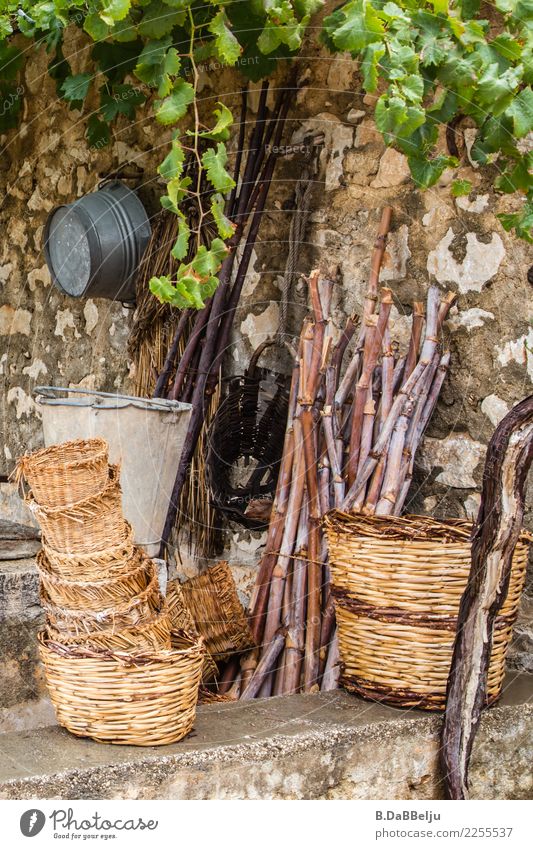 Stillleben der geflochtenen Körbe und im Hintergrund lauert die Blech-Konkurrenz. Die Holzstangen sind dabei nur Staffage und fügen sich in ihr Schicksal aber sie bekommen Hilfe vom wilden Wein.