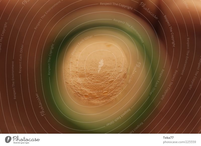 Biertunnel Alkohol Durst Scham Alkoholsucht Farbfoto Detailaufnahme Makroaufnahme Experiment Menschenleer Kunstlicht Starke Tiefenschärfe Flaschenhals