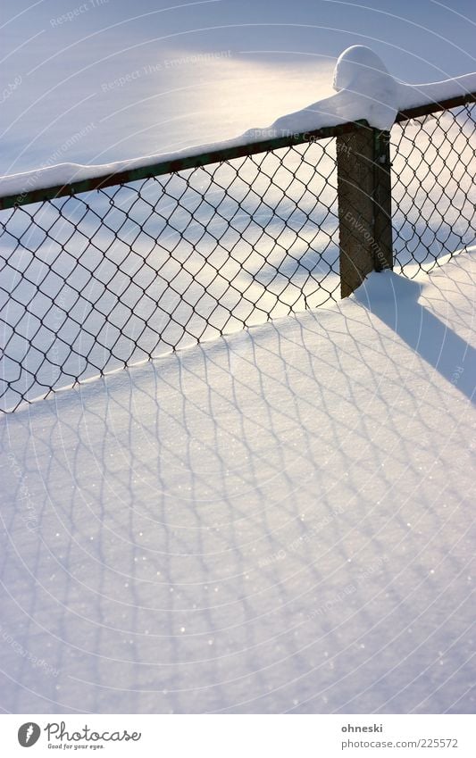 Verschneit Winter Schönes Wetter Eis Frost Schnee Zaun kalt weiß Stimmung ruhig Reinheit Frieden Textfreiraum unten Licht Schatten Lichterscheinung Sonnenlicht