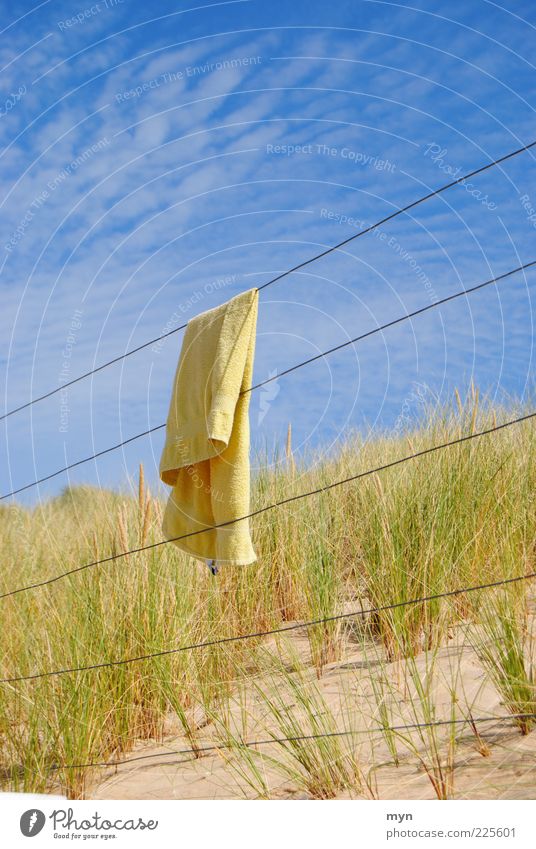 Urlaub ruhig Ferien & Urlaub & Reisen Tourismus Ausflug Sommer Sommerurlaub Strand Natur Sand Himmel Wolken Sonnenlicht Schönes Wetter blau grün Glück