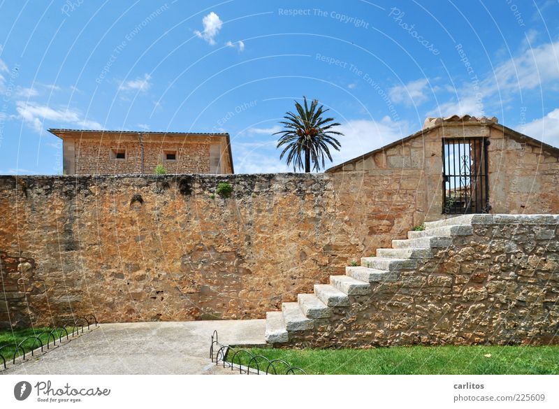 Sicher ist sicher Himmel Sommer Schönes Wetter Baum Palme Haus Gebäude Mauer Wand Treppe Tür alt ästhetisch blau braun grün Sicherheit Schutz mediterran Rasen