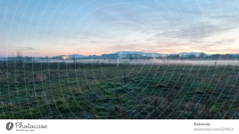 Nebel am Abend Wolken Herbst Gras Wiese Menschenleer blau grün ruhig Stimmung Farbfoto Außenaufnahme Weitwinkel Küste Dämmerung