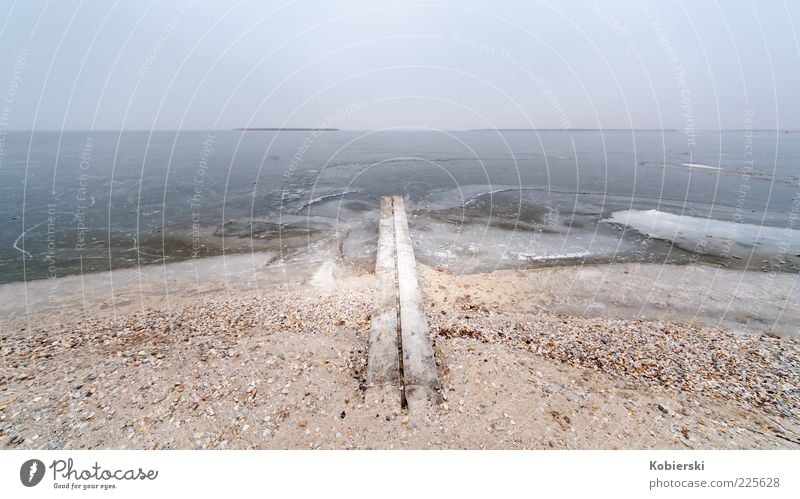 Am Ende Wasser Winter Nebel Eis Frost Seeufer frieren Unendlichkeit kalt blau braun Gelassenheit ruhig Sehnsucht gefährlich Einsamkeit entdecken Erwartung