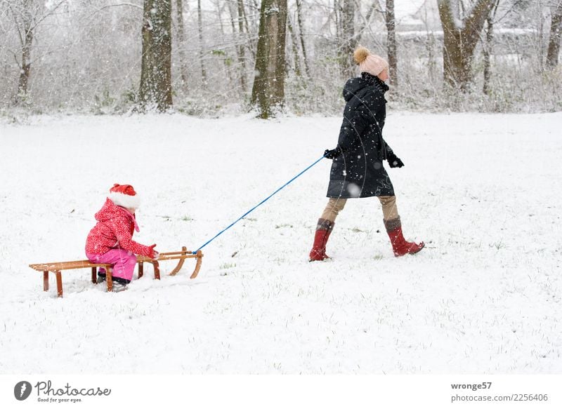 Erster Schnee Rodeln Winter Mensch feminin Kind Mädchen Frau Erwachsene Weiblicher Senior Großmutter 2 3-8 Jahre Kindheit 45-60 Jahre braun rosa schwarz weiß