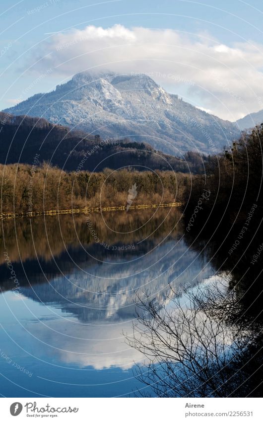 jenseits des Inn-Streams Landschaft Urelemente Luft Wasser Himmel Wolken Winter Schönes Wetter Baum Berge u. Gebirge Gipfel Schneebedeckte Gipfel Flussufer