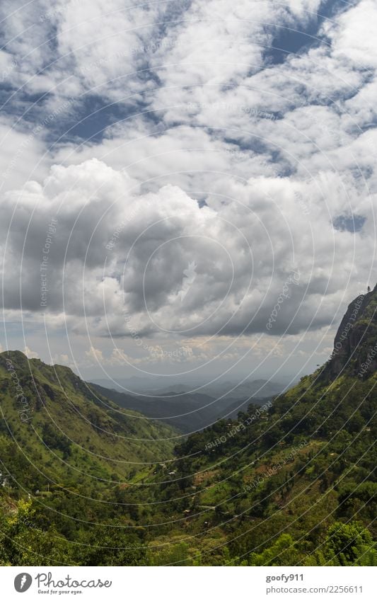 Ausblick...... Ferien & Urlaub & Reisen Tourismus Ausflug Abenteuer Ferne Freiheit Expedition Umwelt Natur Landschaft Himmel Wolken Gewitterwolken Wetter Baum