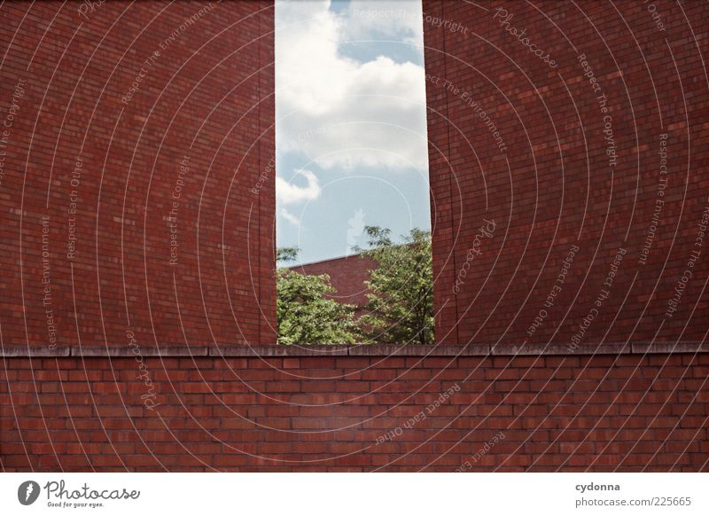 Natur vs. Stadt Lifestyle Himmel Baum Haus Architektur Mauer Wand Fassade ästhetisch Einsamkeit Freiheit bedrohlich Leben nachhaltig planen ruhig träumen