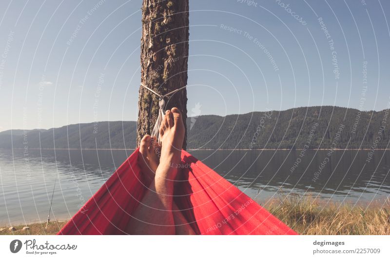 Mann in der Hängematte auf Gebirgssee Lifestyle Glück Erholung Ferien & Urlaub & Reisen Camping Sommer Berge u. Gebirge Mensch Junge Erwachsene Natur Baum See