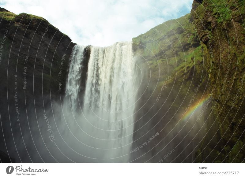 Skógafoss Glück Berge u. Gebirge Natur Wasser Schönes Wetter Felsen Fluss Wasserfall außergewöhnlich gigantisch hoch nass wild grün Idylle Regenbogen Island