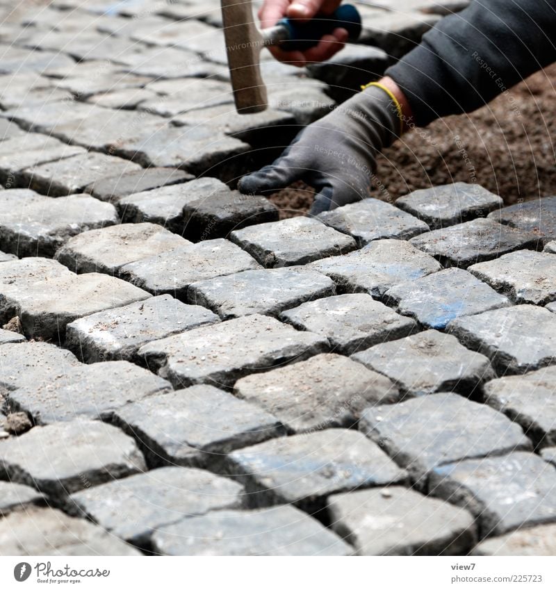 Straßenbau Baustelle Handwerk Mann Erwachsene 1 Mensch Verkehr Verkehrswege Wege & Pfade Stein Arbeit & Erwerbstätigkeit festhalten machen Tatkraft anstrengen