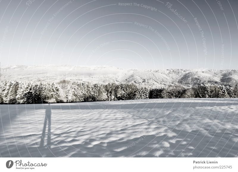 Take a look around Umwelt Natur Landschaft Urelemente Luft Himmel Wolkenloser Himmel Winter Klima Wetter Schönes Wetter Schnee Baum Wiese Wald Hügel