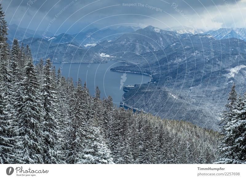 Die Kälte Abenteuer Winter Schnee Berge u. Gebirge wandern Natur Landschaft Wasser Gewitterwolken schlechtes Wetter Unwetter Wind Sturm Schneefall Alpen Gipfel