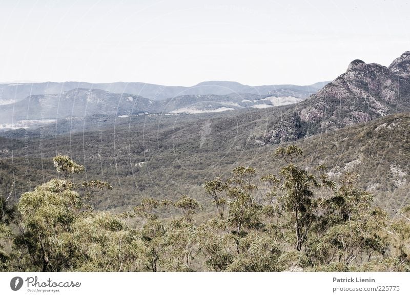 Mt. May Umwelt Natur Landschaft Pflanze Urelemente Erde Luft Himmel Sommer Klima Klimawandel Wetter Baum Wald Urwald Hügel Felsen Berge u. Gebirge wandern