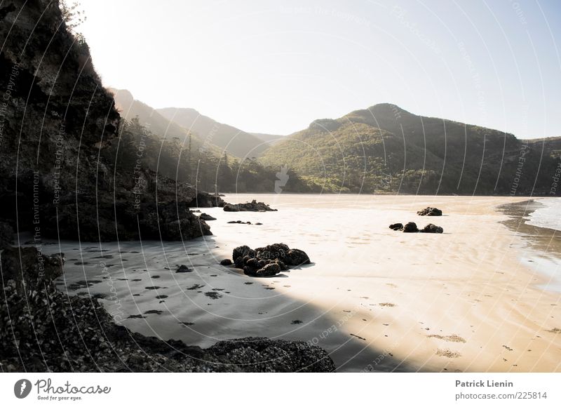 Collapse the Light into Earth Umwelt Natur Landschaft Pflanze Urelemente Erde Sand Luft Wasser Sommer Klima Wetter Schönes Wetter Wald Urwald Hügel Felsen Küste