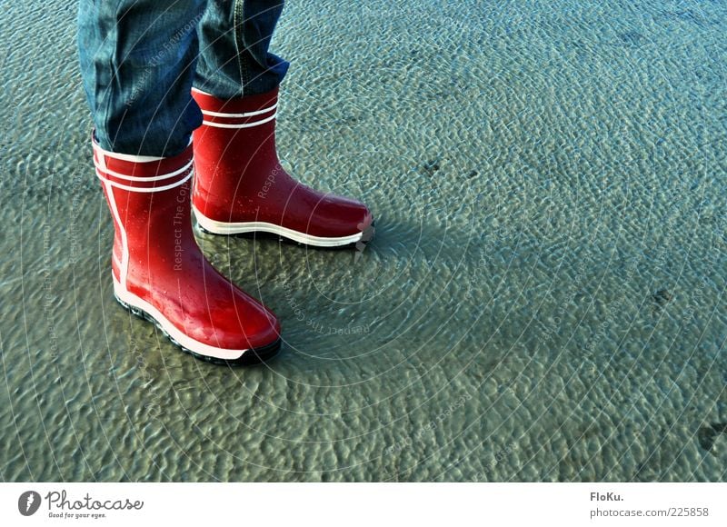 Watt is dat schön?! Mensch Beine Fuß 1 Umwelt Natur Erde Wasser Küste Seeufer Flussufer Strand Nordsee stehen Flüssigkeit nass blau rot Wattenmeer Wattwandern