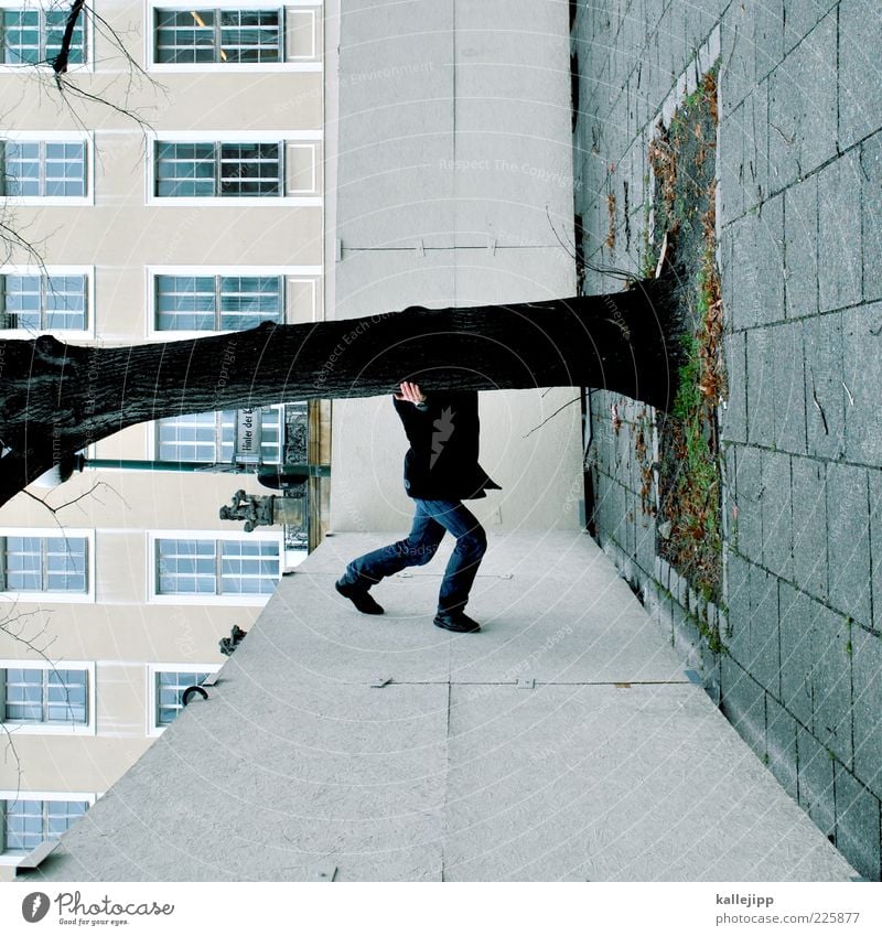 stammhalter Mensch Mann Erwachsene 1 Baum stehen Le Parkour Klettern Stammhalter Baumstamm baumschützer Umweltschutz Bauzaun Fassade Bodenplatten Farbfoto