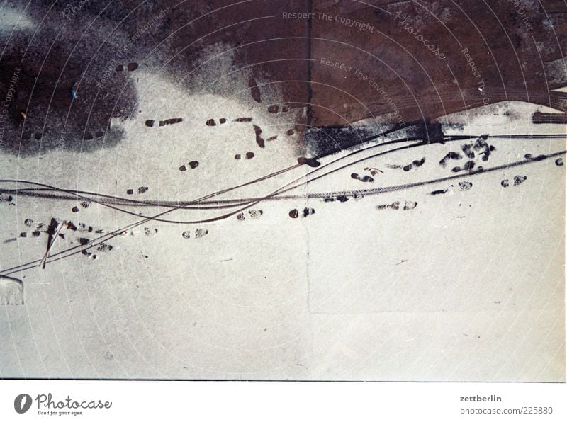 Schnee von gestern Natur Winter Eis Frost Spuren Abdruck fahren Fahrradweg Farbfoto Gedeckte Farben Außenaufnahme Detailaufnahme Menschenleer Textfreiraum links