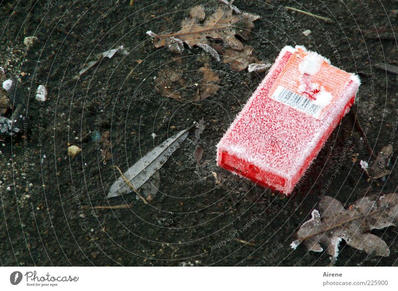 coole alte Schachtel Winter Eis Frost Blatt Straße Asphalt Straßenbelag Verpackung frieren Coolness kalt grau rot weiß Laster verschwenden gefroren welk Raureif