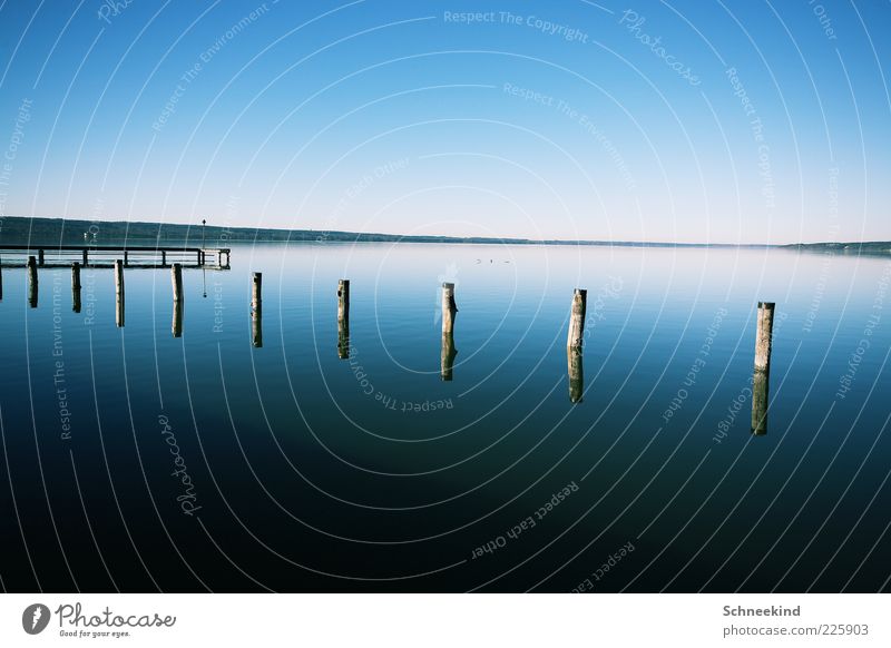 Draussen am See Umwelt Natur Landschaft Wasser Himmel Wolkenloser Himmel Horizont Schönes Wetter Küste Seeufer genießen Erholung Steg Aussicht blau Holzstab