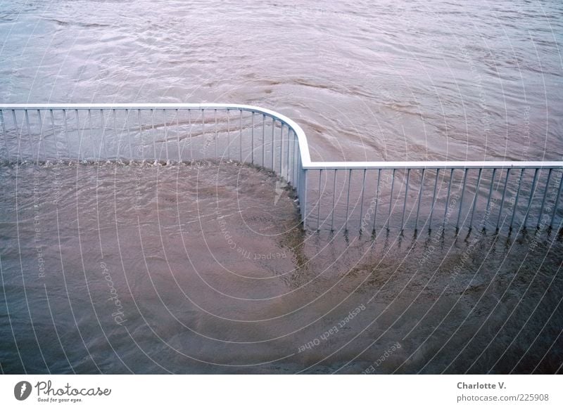 Hochwasser Umwelt Wasser Flussufer Elbe Menschenleer Geländer Begrenzung Metall Flüssigkeit blau rosa silber Zufriedenheit Bewegung Symmetrie überschwemmt