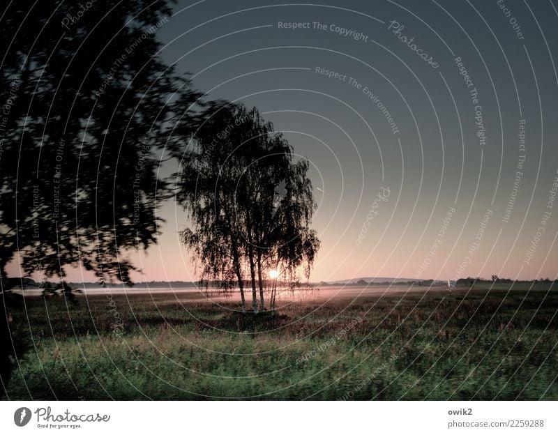 Geschwindigkeitsrausch Ausflug Ferne Freiheit Umwelt Natur Landschaft Pflanze Luft Wolkenloser Himmel Horizont Herbst Schönes Wetter Nebel Baum Gras Sträucher