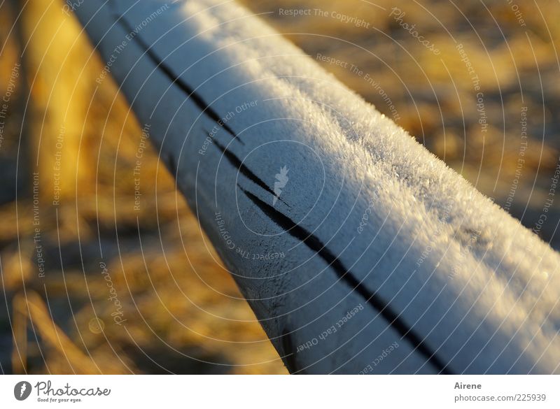 weißer Pelz Winter Eis Frost Holz Linie Riss frieren glänzend blau braun gelb ästhetisch kalt verkleidet strahlend Schönes Wetter Balken Geländer Farbfoto