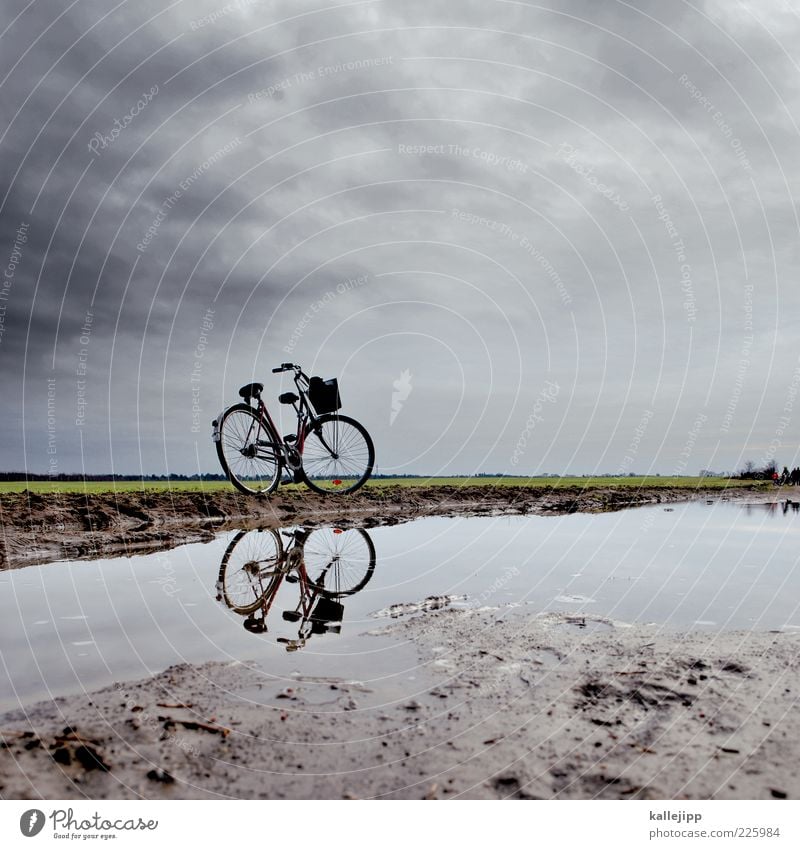 saisonauftakt Freizeit & Hobby Ausflug Ferne Freiheit Winter Umwelt Natur Landschaft Pflanze Erde Sand Wasser Himmel Wetter schlechtes Wetter Regen Wiese Feld