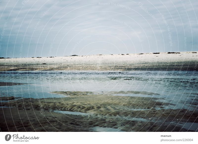 friesisch herb Natur Landschaft Urelemente Sand Wasser Himmel Wolken Küste Strand Nordsee Meer Wattenmeer Amrum Nordfriesland authentisch kalt Fernweh Farbfoto