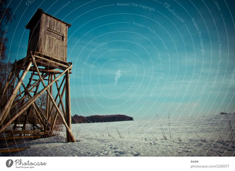 Hochstand Freizeit & Hobby Jagd Winter Schnee Natur Landschaft Himmel Hochsitz Holz beobachten warten kalt blau Einsamkeit Jagdrevier überblicken Überblick